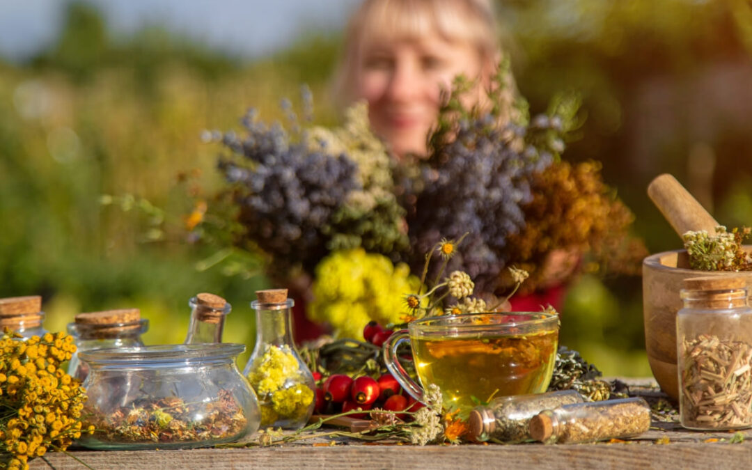Herbal Peningkat Daya Tahan Tubuh